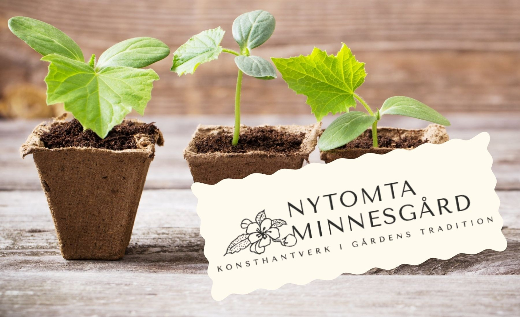 På Nytomta: Plantbytardag