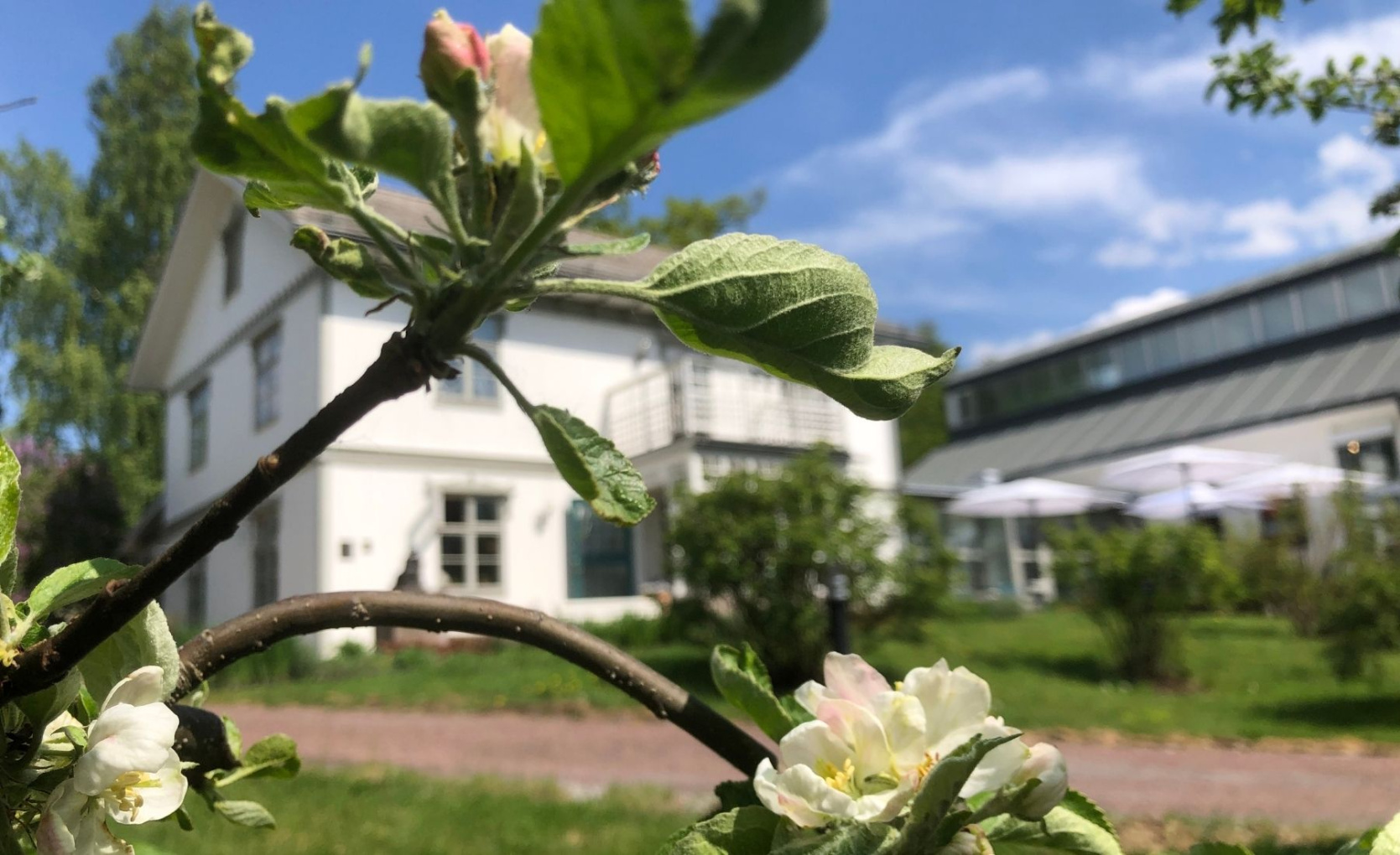 Inga pågående utställningar